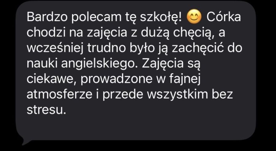 korepetycje/zajęcia z języka angielskiego -gwaranc: zdjecie 99528375