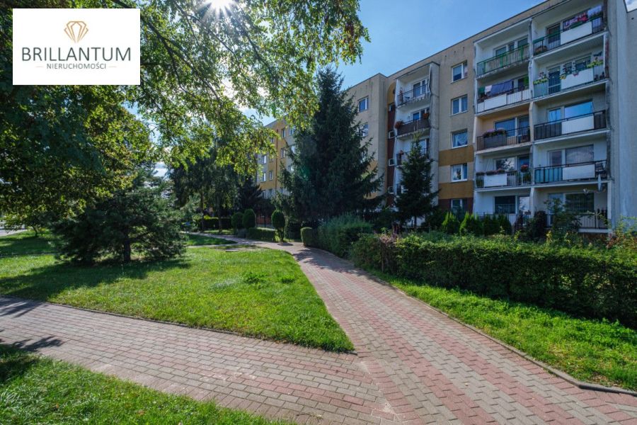 3 pokoje / 2 piwnice / balkon