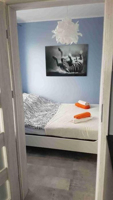 Sopot - tuż przy plaży: zdjecie 99467416