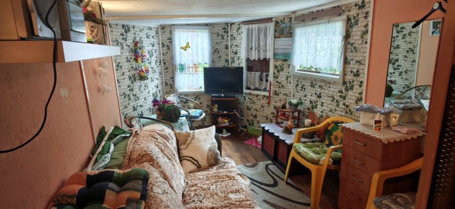 Działka ogrodowa ROD w Sopocie ,widok na zatoke przy lesie.: zdjecie 99472920