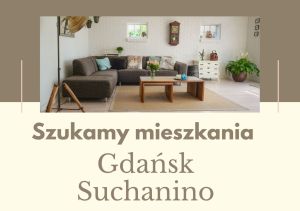 szukamy mieszkania I 2/3 pokoje I Gdańsk Suchanino: zdjecie 66541264