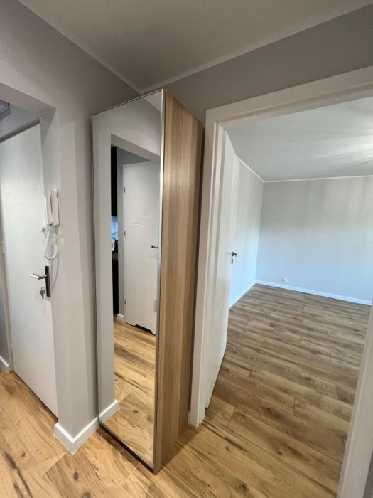 Do wynajęcia 2 pokoje po generalnym remoncie: zdjecie 99480593
