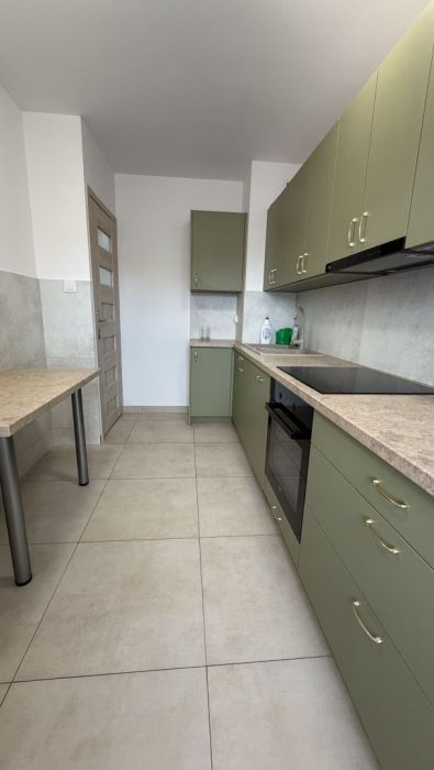 Mieszkanie 3 pokoje, osobna kuchnia: zdjecie 99481671