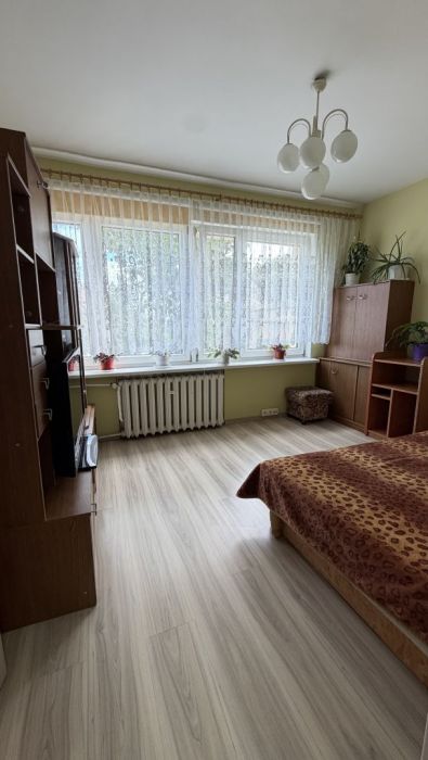 Mieszkanie 3 pokoje, osobna kuchnia: zdjecie 99481679