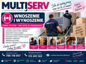 Wnoszenie i wynoszenie: zdjecie 66541868