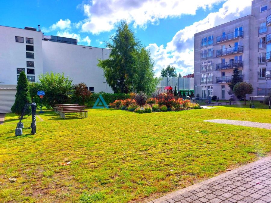 3 pokojowe mieszkanie w super lokalizacji: zdjecie 99485144