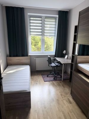 Pokoje do wynajęcia Gdańsk Wrzeszcz: zdjecie 66542504