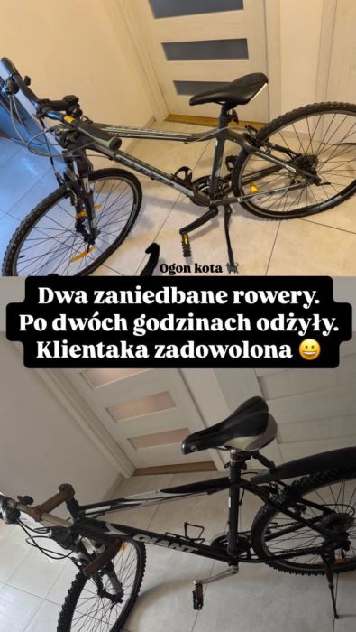 Mobilny Serwis Rowerowy Gdańsk i okolice. Szybko, Tanio i Dobrze!: zdjecie 99525406