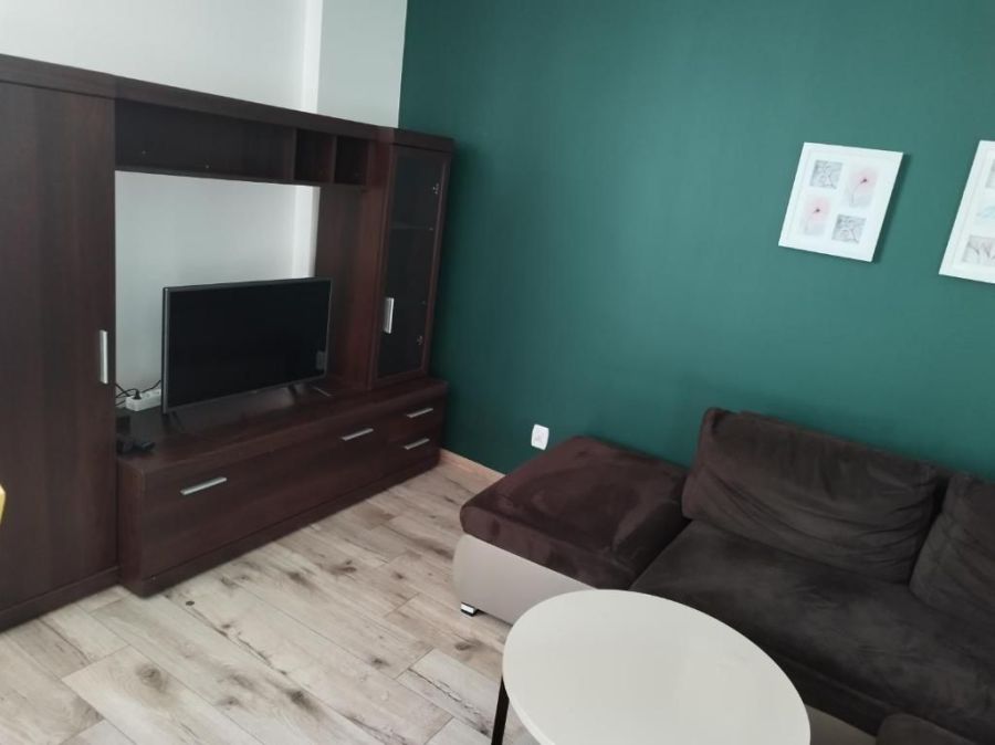 Wynajmę studentom: zdjecie 99515468
