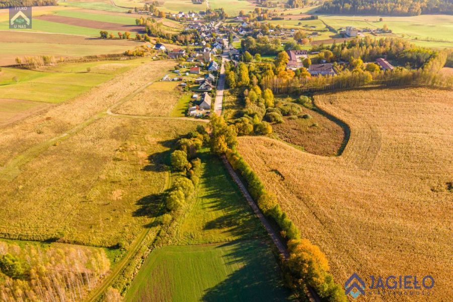Działka (Rolna) - Szczodrowo