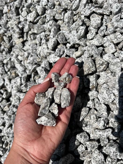 Grys granitowy dalmatyńczyk 2-8mm, 8-16mm, 16-22mm, 40-120mm: zdjecie 99498263