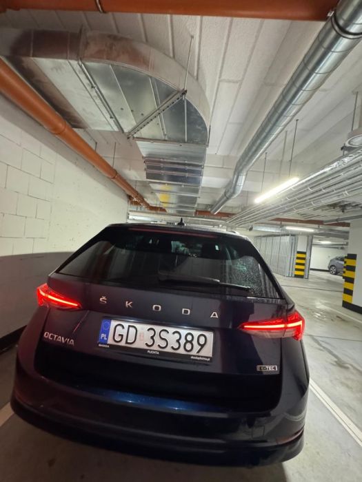 Skoda Octavia 1.5 TSI e-Tec Style DSG 2024 r. I właściciel: zdjecie 99503202