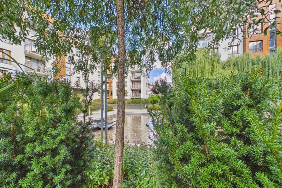 2pok, ogródek, pet OK, Garnizon, długoterminowo: zdjecie 99528033