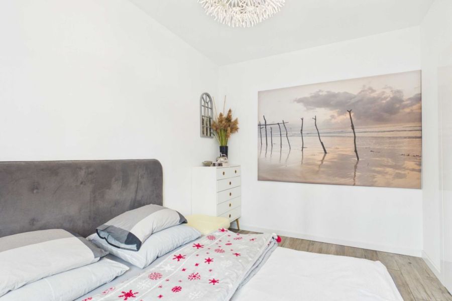 2pok, ogródek, pet OK, Garnizon, długoterminowo: zdjecie 99528026