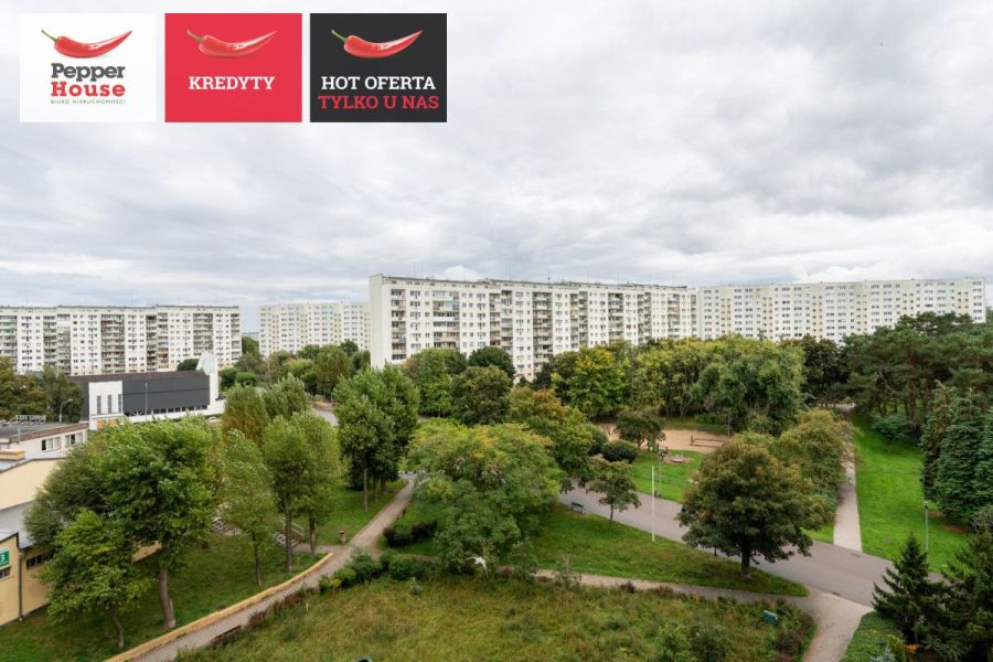 Mieszkanie z ogromnym potencjałem - Żabianka: zdjecie 99504775