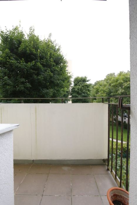 Słoneczne mieszkanie 2-pok obok lasu: zdjecie 99505264