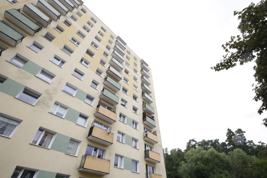 Słoneczne mieszkanie 2-pok obok lasu: zdjecie 99505266