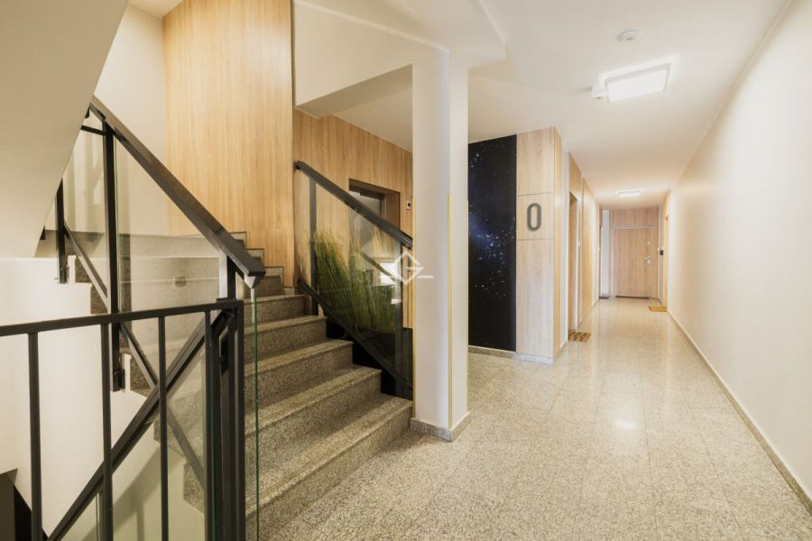 | Duży ogród  | Zadbane 2 pokoje | Premium: zdjecie 99505664