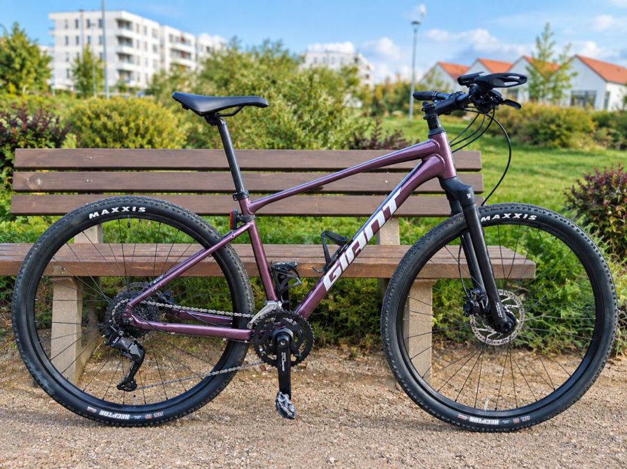 Giant Roam 2