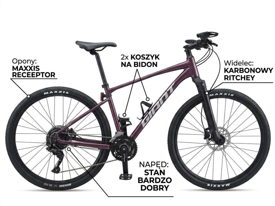 Giant Roam 2: zdjecie 99540281