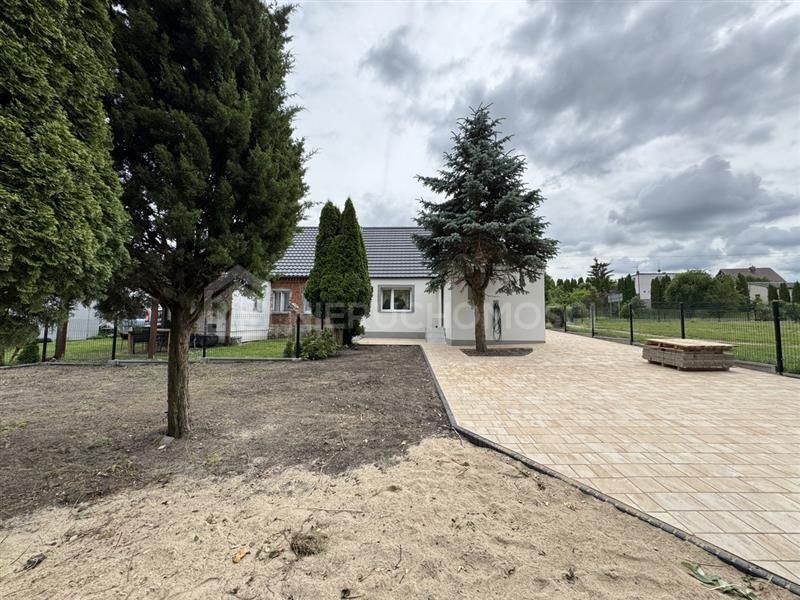 Pączewo gm. Skórcz - dom w zabudowie bliźniaczej: zdjecie 99506378