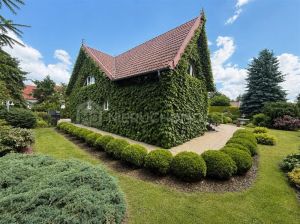 Starogard - Rezydencja Premium, Sauna, Kino Domowe: zdjecie 66545007