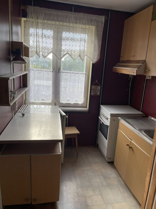 Działka ROD Gdańsk Jasień: zdjecie 99510445