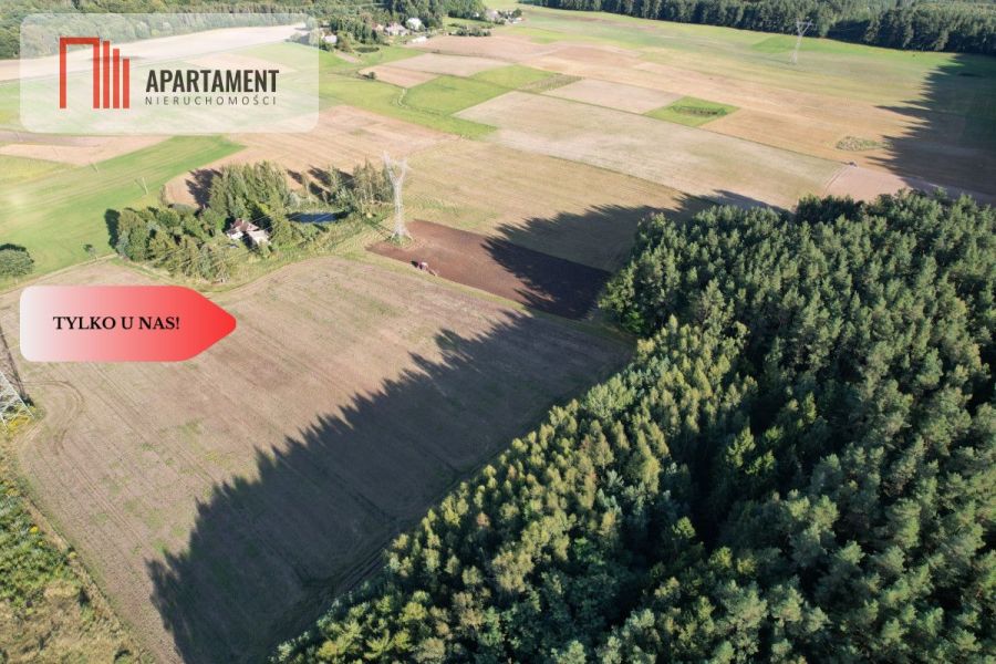 Siedlisko 11,75 ha z prywatnym lasem