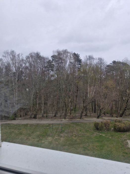 Wynajmę Mieszkanie Witomino 43m2: zdjecie 99511246