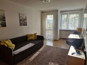 Wynajmę Mieszkanie Witomino 43m2: zdjecie 66545678