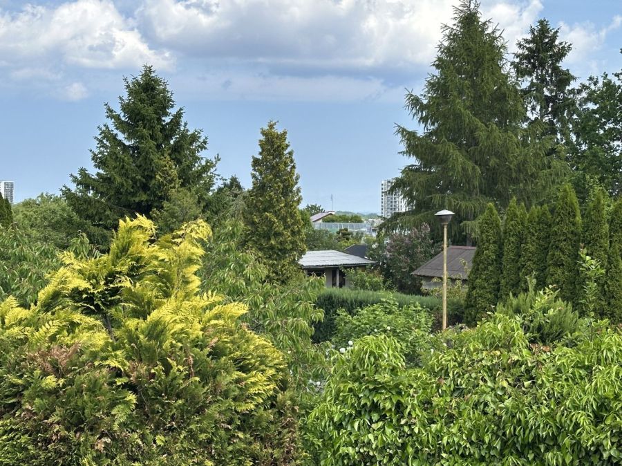 Działka ROD Morena, 403 mkw, ceglany dom.: zdjecie 99512225