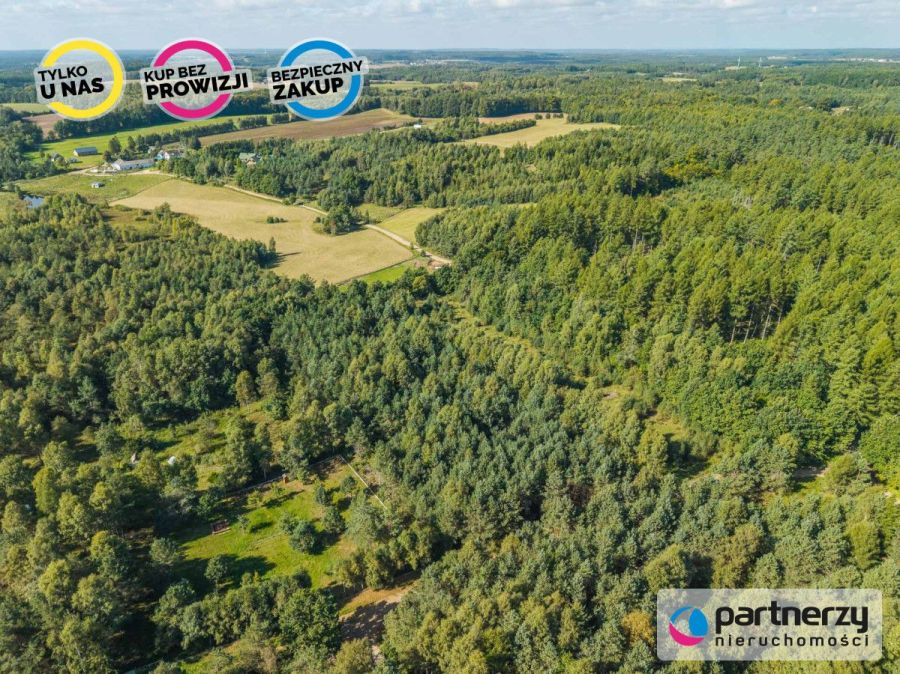 Działka siedliskowa | Kaszuby | Prąd i woda obok: zdjecie 99513484