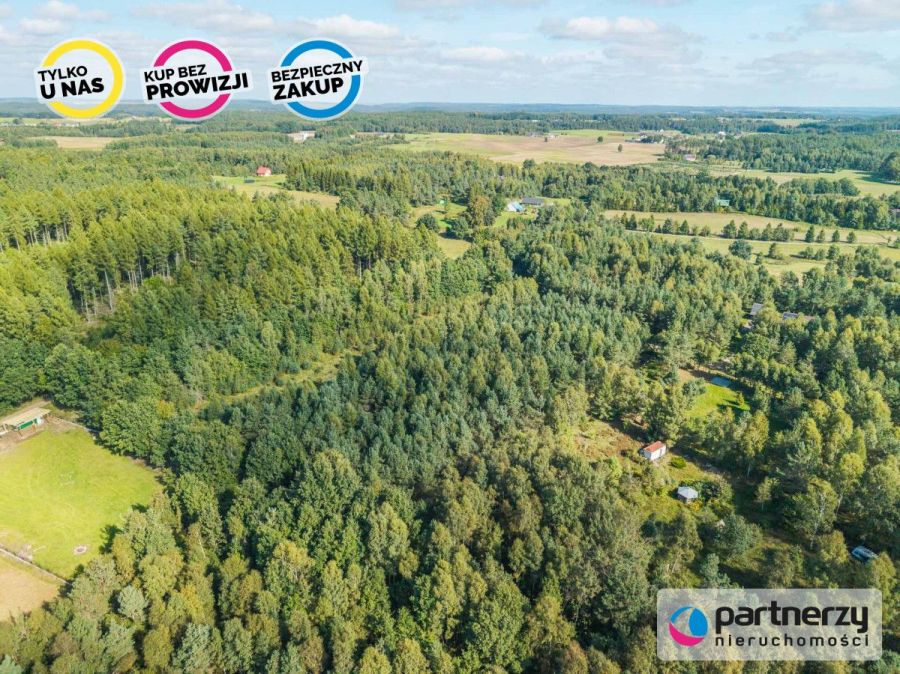 Działka siedliskowa | Kaszuby | Prąd i woda obok: zdjecie 99513458