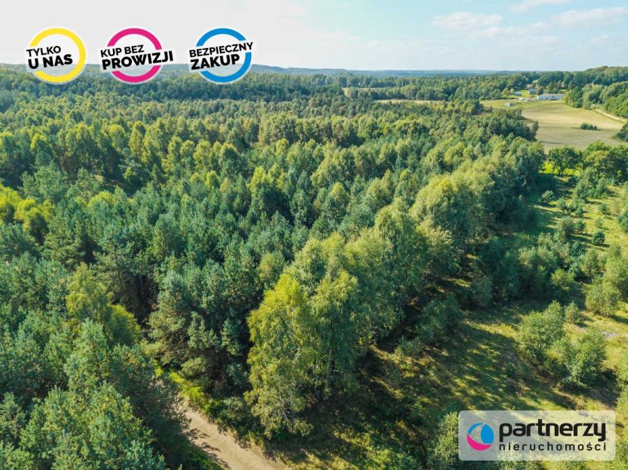 Działka siedliskowa | Kaszuby | Prąd i woda obok: zdjecie 99513469