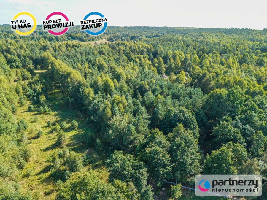 Działka siedliskowa | Kaszuby | Prąd i woda obok: zdjecie 99513471