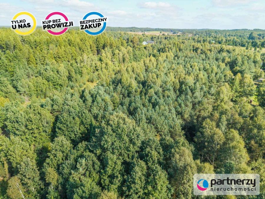 Działka siedliskowa | Kaszuby | Prąd i woda obok: zdjecie 99513473