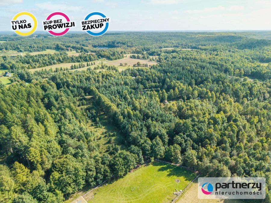Działka siedliskowa | Kaszuby | Prąd i woda obok: zdjecie 99513475