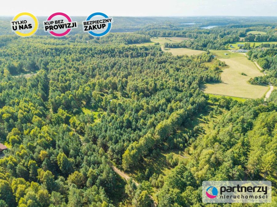 Działka siedliskowa | Kaszuby | Prąd i woda obok: zdjecie 99513478