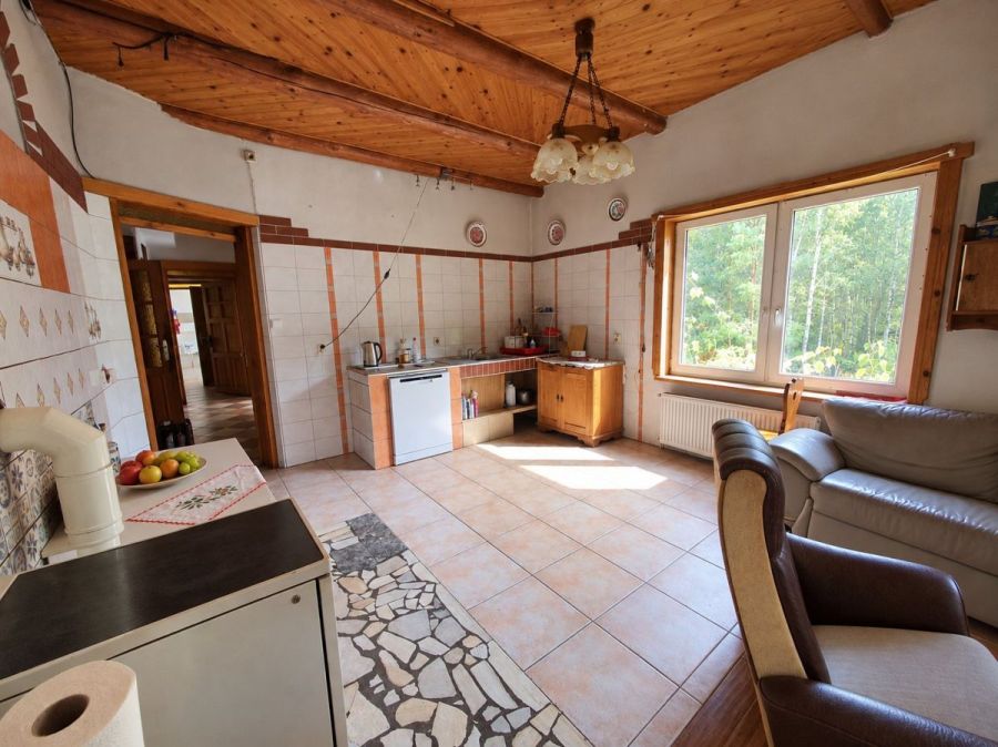 własny las i dom 260 M2  ,  6,2 ha prywatnej przes: zdjecie 99514110