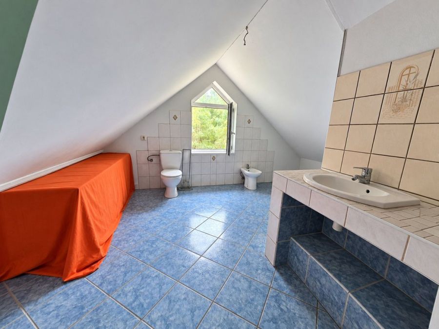własny las i dom 260 M2  ,  6,2 ha prywatnej przes: zdjecie 99514113
