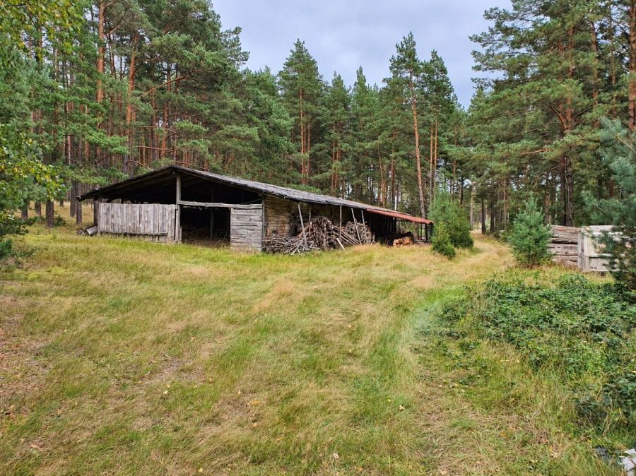własny las i dom 260 M2  ,  6,2 ha prywatnej przes: zdjecie 99514115