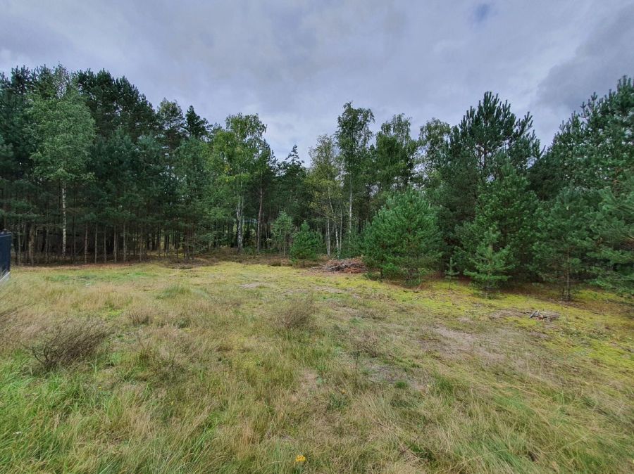 własny las i dom 260 M2  ,  6,2 ha prywatnej przes: zdjecie 99514118