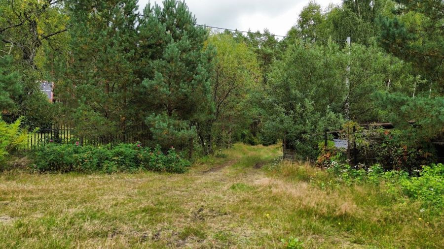 własny las i dom 260 M2  ,  6,2 ha prywatnej przes: zdjecie 99514119
