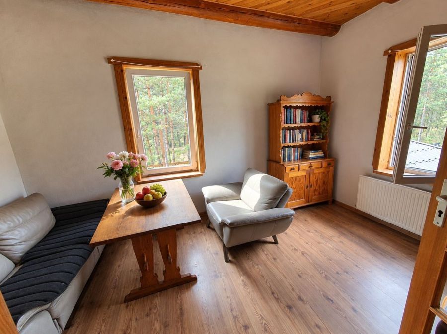 własny las i dom 260 M2  ,  6,2 ha prywatnej przes: zdjecie 99514102