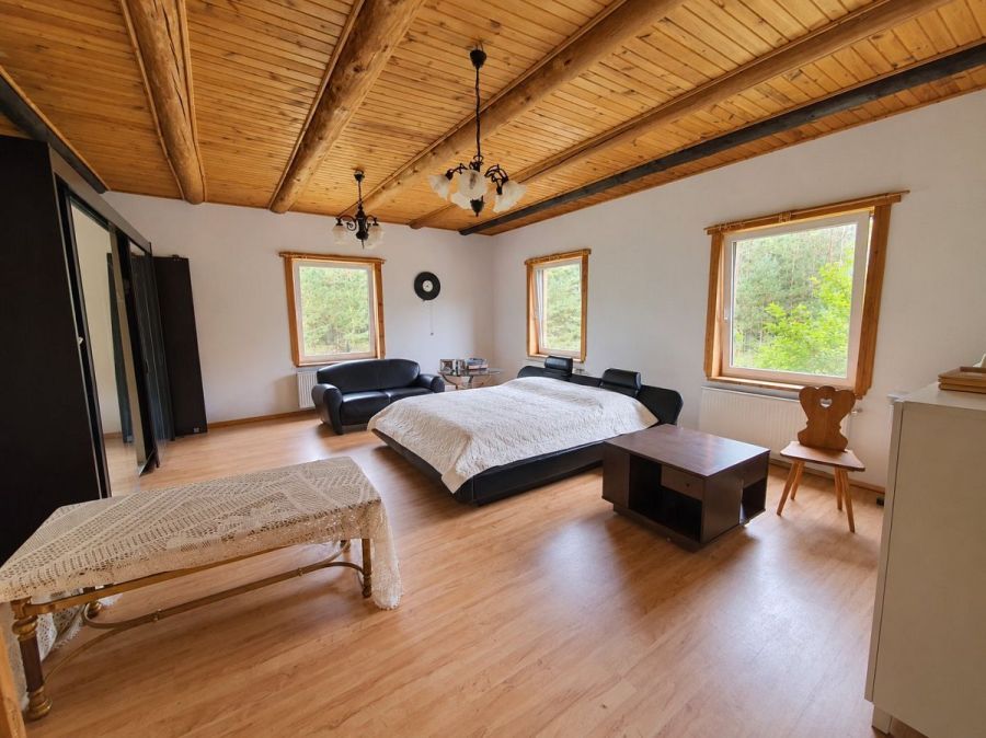 własny las i dom 260 M2  ,  6,2 ha prywatnej przes: zdjecie 99514104