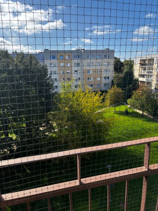 Mieszkanie na sprzedaż, 3 pokoje, Gdańsk Morena: zdjecie 99515008