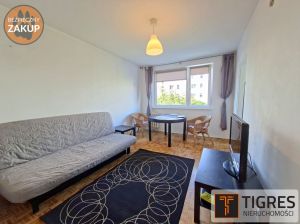 SPWŁ / Kompaktowe / Do aranżacji: zdjecie 66548649