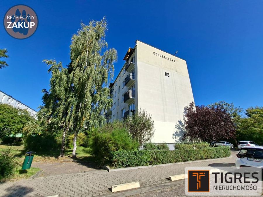 SPWŁ / Kompaktowe / Do aranżacji: zdjecie 99517453