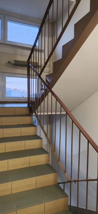 2 pokojowe mieszanie na Zaspie: zdjecie 99528682