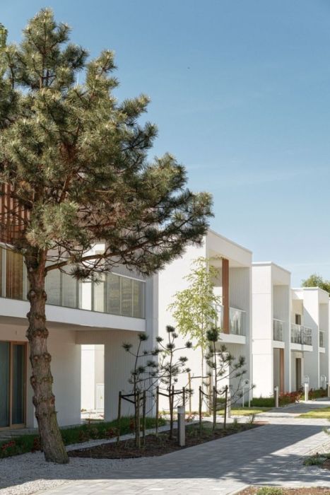 Apartament z antresolą i ogrodem | Basen, sauna, strefa rekreacji: zdjecie 99522266